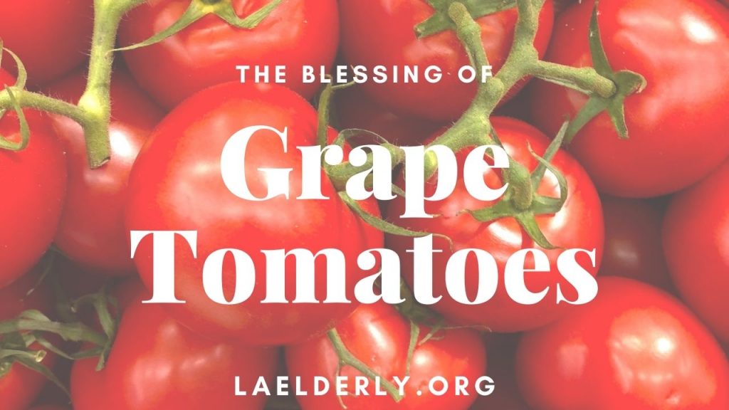 blessing grape tomatoes