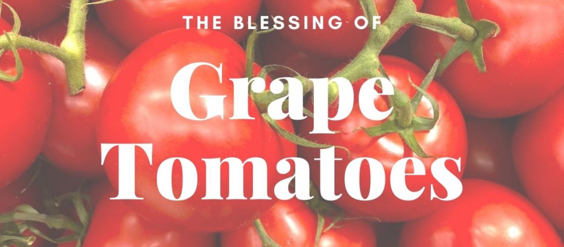 blessing grape tomatoes